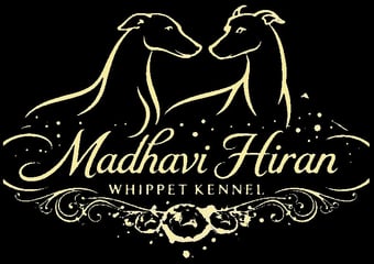 Madhavi Hiran