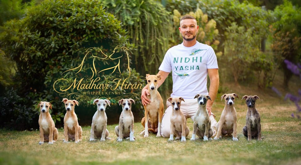 Madhavi Hiran Whippet Kennel — šteniatka s majiteľom